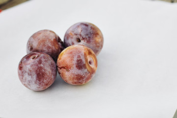 Four honey punch pluot fruits on white wax paper