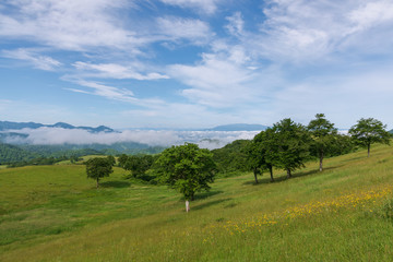 Obraz premium 牧場2