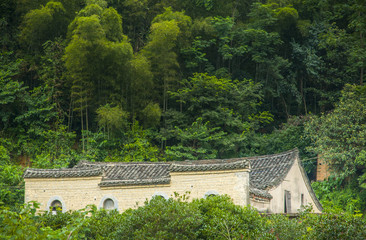 Fototapeta premium Forest and mountain scenery 