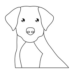 cute dogs design