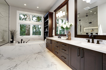 Master bathroom interior in luxury modern home with dark hardwood cabinets, white tub and glass door shower - 221509510