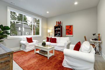 Guest modern Living room interior with red pillows and rug