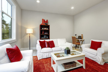 Guest modern Living room interior with red pillows and rug
