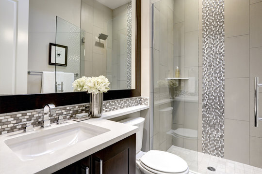 Bathroom modern interior with dark hardwood cabinets and large mirror