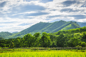 Countryside and mountains scenery in autumn