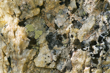 Lichen on the Rocks at Lake Marie  in the Snowy Range Mountains of Wyoming