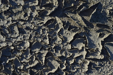 Fototapeta premium The parched soil