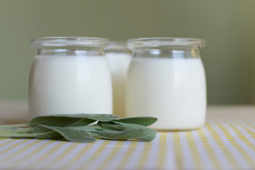 Obraz na płótnie Canvas three jars of Greek yogurt