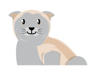 cute cat icon
