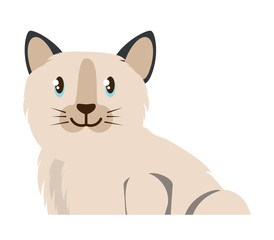 cute cat icon