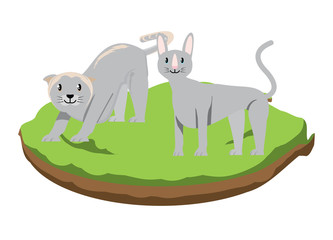 cute cats design