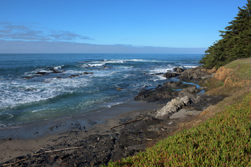 Dirty shore near waving sea