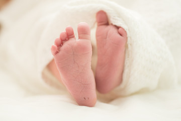 Obraz na płótnie Canvas Baby Feet