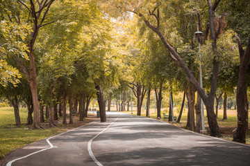 Road in the park