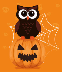 happy halloween card with owl and pumpkin