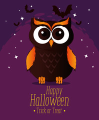 happy halloween card with owl