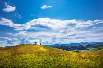 The mountains and hills. Altai