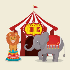 elephant and lion circus show