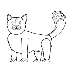 cute cat design