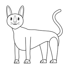 cute cat design