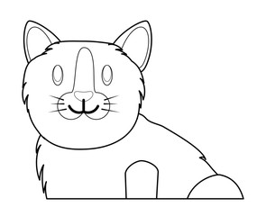 cute cat design