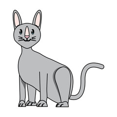 sphynx cat design