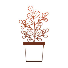 Plant in pot isolated orange lines