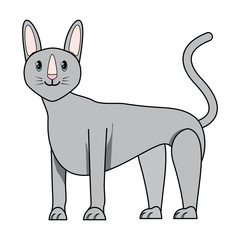 sphynx cat design