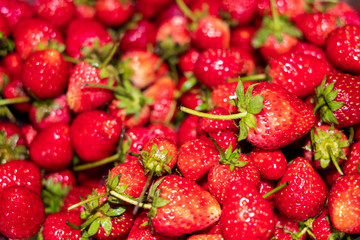 background from freshly harvested strawberries, Top view