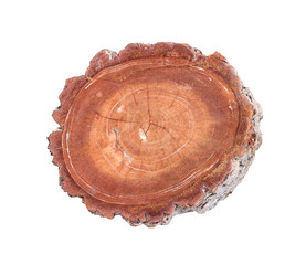 Old stump Isolated on white background. This has clipping path.