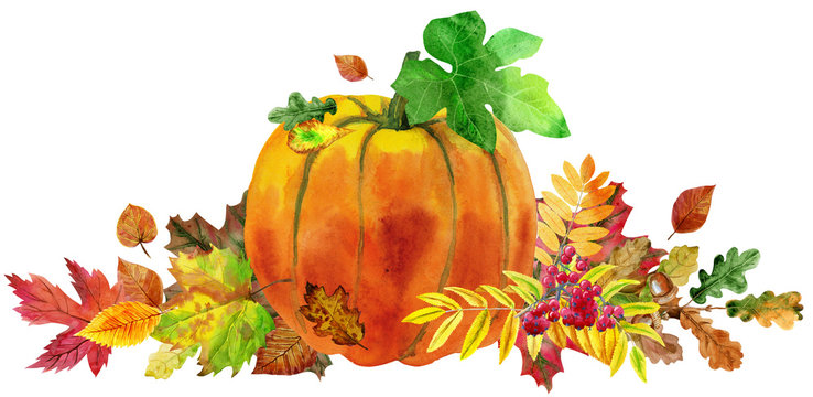 Horizontal composition of pumpkin and autumn leaves
