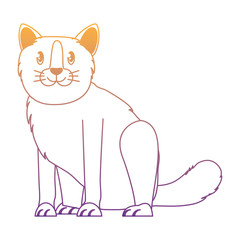 cute cat design