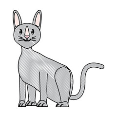 sphynx cat design