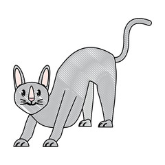 cute cat design