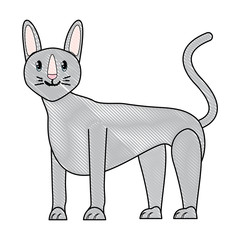 sphynx cat design