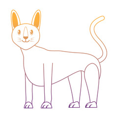 cute cat design