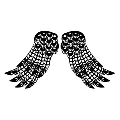 Bird wings isolated in black and white