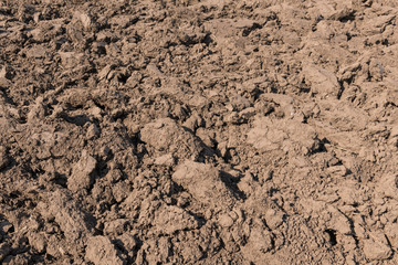 Cultivated Soil