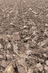 Cultivated Soil
