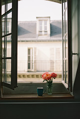 Peonies on windowsill looking out at Paris, France