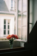 Peonies on windowsill looking out at Paris, France