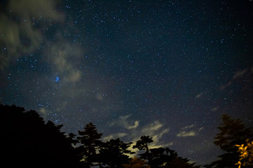 Naklejka premium 瓶が森の星空