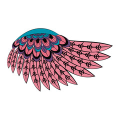 Bird wings isolated