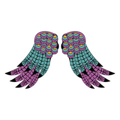 Bird wings isolated
