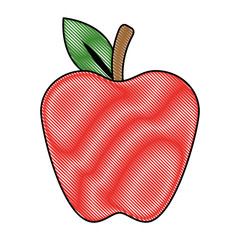 apple fresh fruit icon