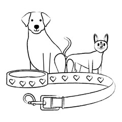 cute dog and cat 