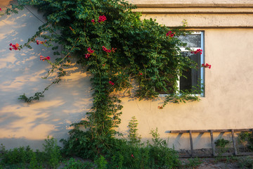Fototapeta na wymiar Wall and window of a country house