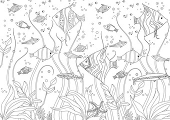 decorative fishes and seaweed for your coloring book