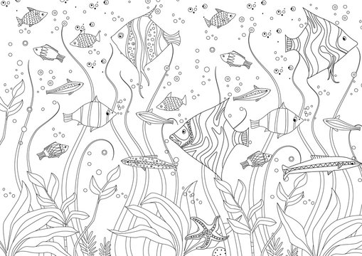 decorative fishes and seaweed for your coloring book