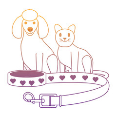 cute dog and cat design 